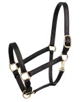 perris-leather-turnout-halter-KjBrQmSh-0.webp