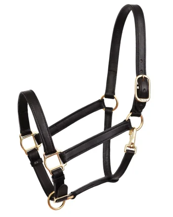 Best PERRIS LEATHER Perri’s® Leather Turnout Halter