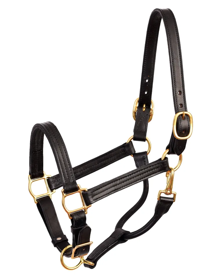 perris-premium-leather-xl-show-YoNLCjPd-0.webp Online PERRIS LEATHER Perri’s® Premium Leather XL Show Halter