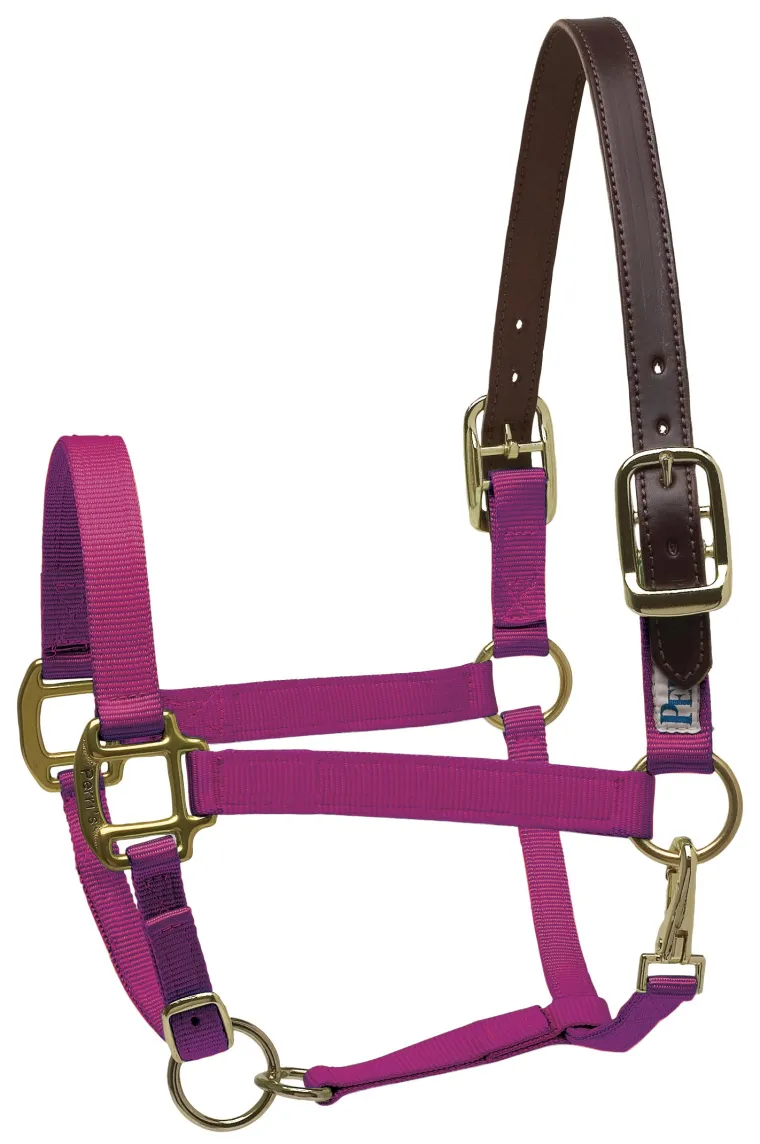 perris-premium-nylon-breakaway-wmchIYhV-16.webp Fashion PERRIS LEATHER Perri’s® Premium Nylon Breakaway Halter