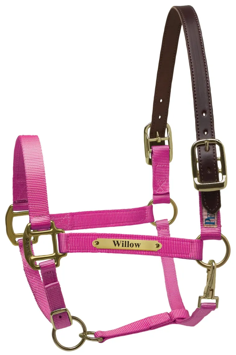 perris-premium-nylon-safety-ha-eSZcYdrM-10.webp New PERRIS LEATHER Perri’s® Premium Nylon Safety Halter With Nameplate