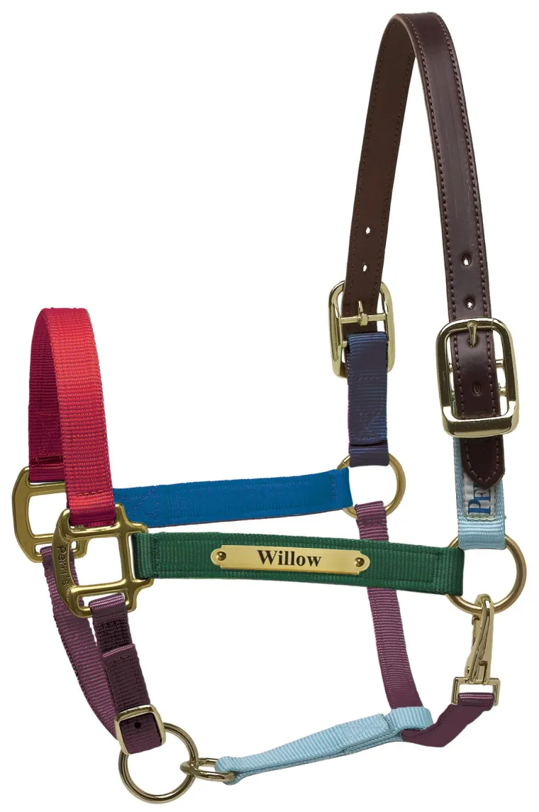 perris-premium-nylon-safety-ha-eSZcYdrM-2.webp New PERRIS LEATHER Perri’s® Premium Nylon Safety Halter With Nameplate