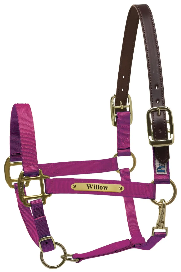 perris-premium-nylon-safety-ha-eSZcYdrM-3.webp New PERRIS LEATHER Perri’s® Premium Nylon Safety Halter With Nameplate