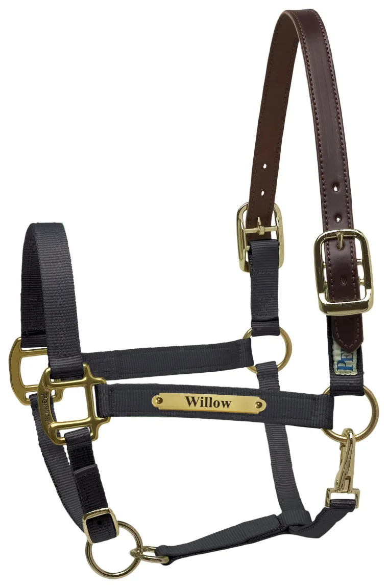 perris-premium-nylon-safety-ha-eSZcYdrM-4.webp New PERRIS LEATHER Perri’s® Premium Nylon Safety Halter With Nameplate