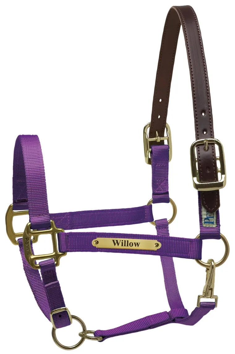 perris-premium-nylon-safety-ha-eSZcYdrM-7.webp New PERRIS LEATHER Perri’s® Premium Nylon Safety Halter With Nameplate