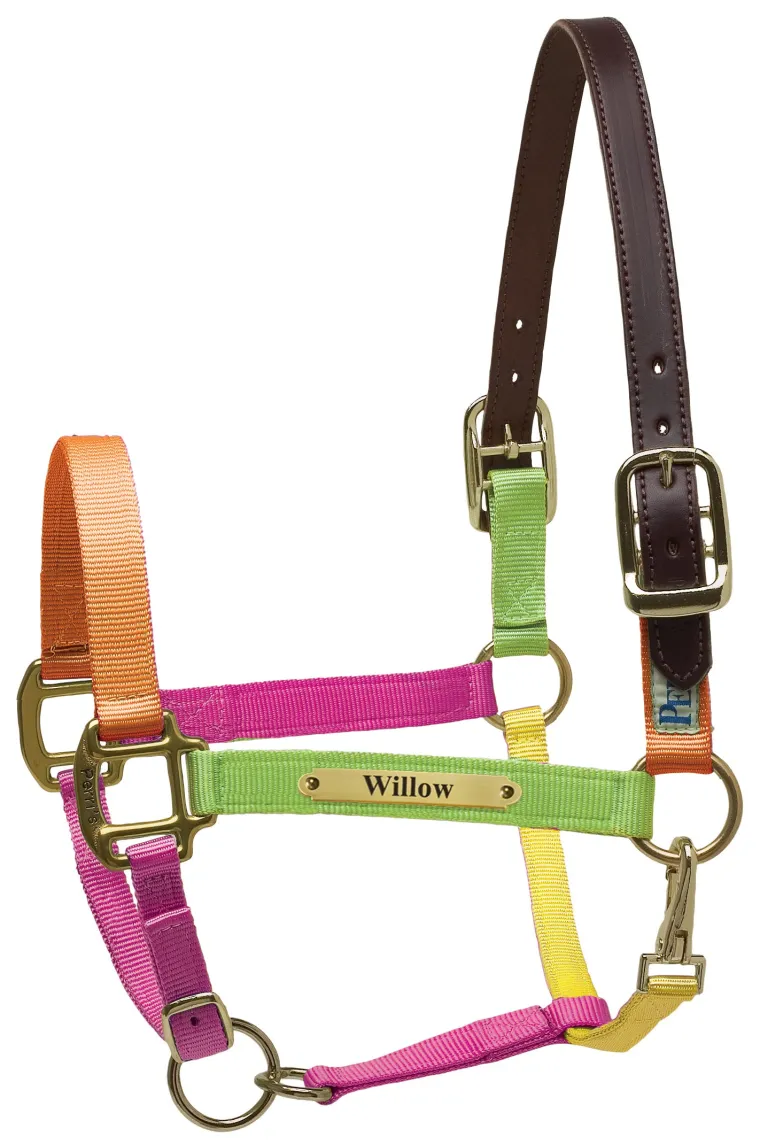 perris-premium-nylon-safety-ha-eSZcYdrM-8.webp New PERRIS LEATHER Perri’s® Premium Nylon Safety Halter With Nameplate