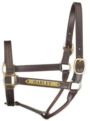 Clearance PERRIS LEATHER Perri’s® Premium Track Style Leather Show Halter With Nameplate Havana