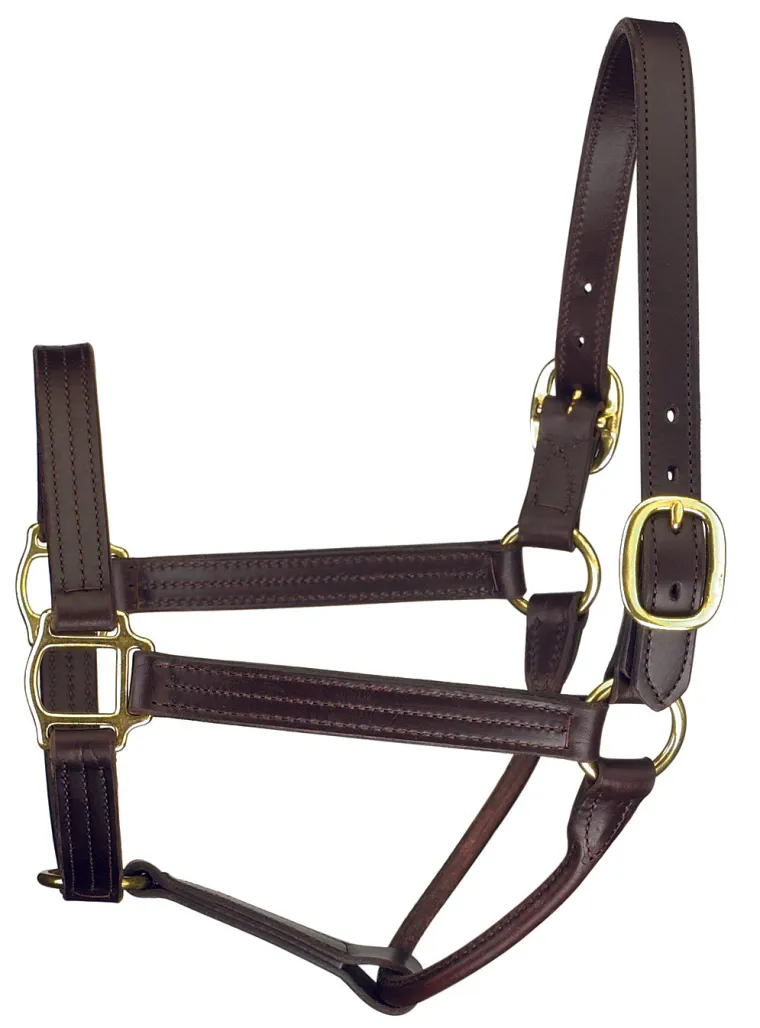 perris-premium-track-style-sho-cBQRrvZX-0.webp Fashion PERRIS LEATHER Perri’s® Premium Track Style Show Halter Havana