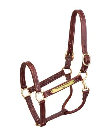 Discount PERRIS LEATHER Perri’s® Professional Halter With Nameplate