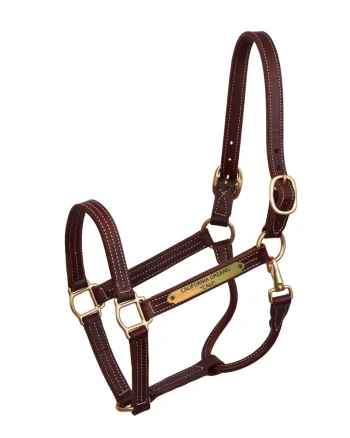 Discount PERRIS LEATHER Perri’s® Professional Halter With Nameplate