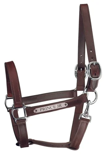Fashion PERRIS LEATHER Perri’s® Track Style Leather Turnout Halter With Snap Throat And Nameplate