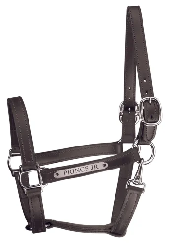 Fashion PERRIS LEATHER Perri’s® Track Style Leather Turnout Halter With Snap Throat And Nameplate