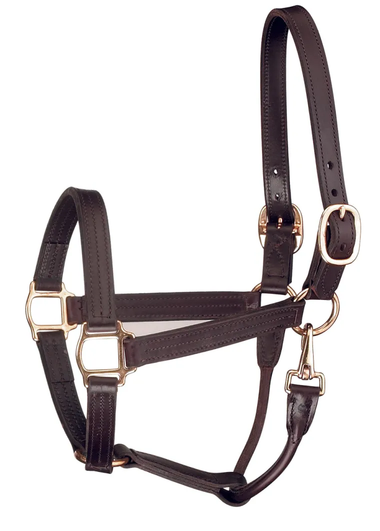 perris-track-style-show-halter-HfEMVneT-0.webp Clearance PERRIS LEATHER Perri’s® Track Style Show Halter With Snap Throat Havana