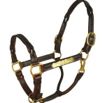 Discount PERRIS LEATHER Perri’s® Twisted Leather Halter With Nameplate Havana