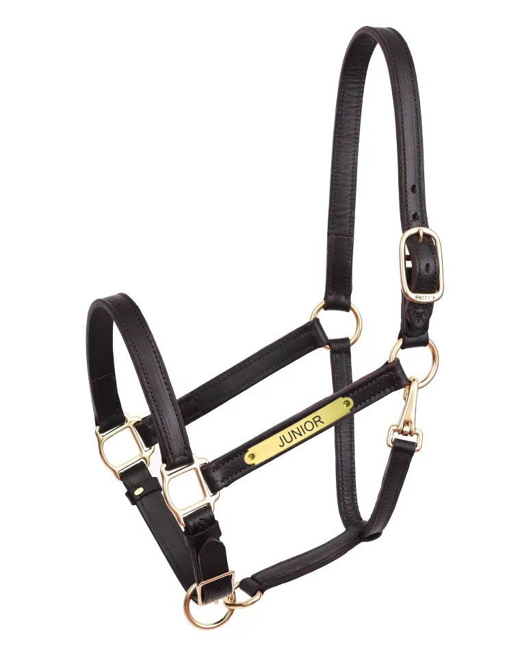 perris-yearling-leather-turnou-MJWFWPSU-0.webp Hot PERRIS LEATHER Perri’s® Yearling Leather Turnout Halter Havana