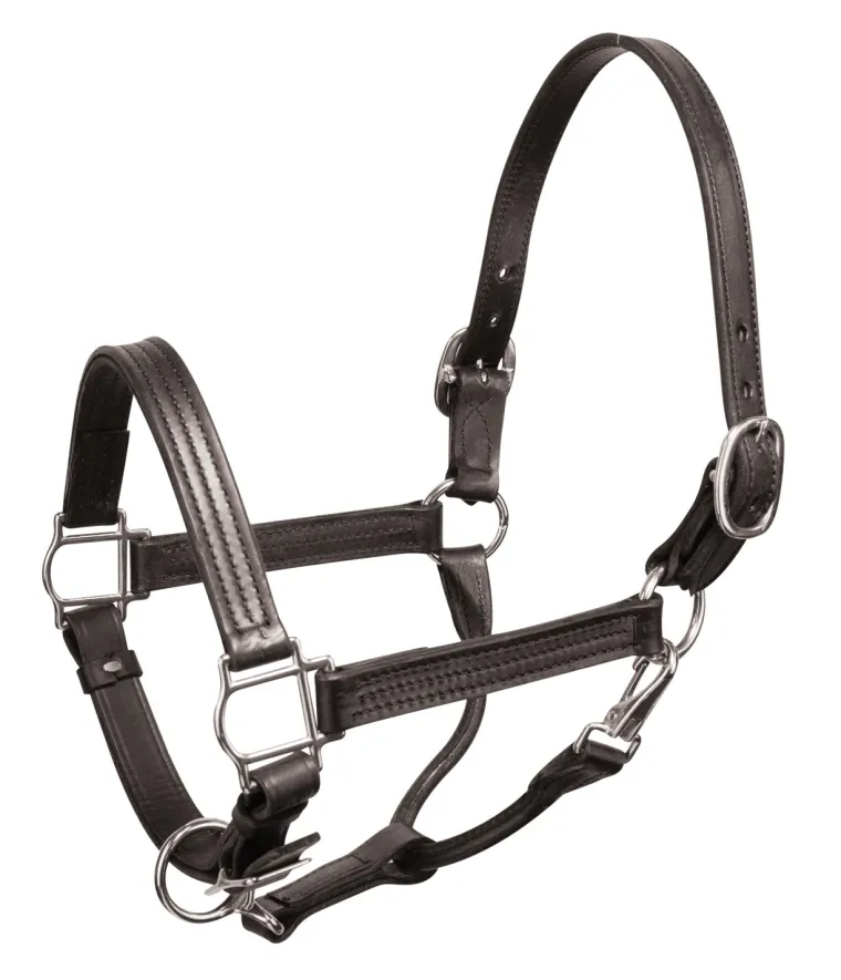 perrispremium-leather-show-hal-ufLBsIwo-0.webp Hot PERRIS LEATHER Perri’s® Premium Leather Show Halter