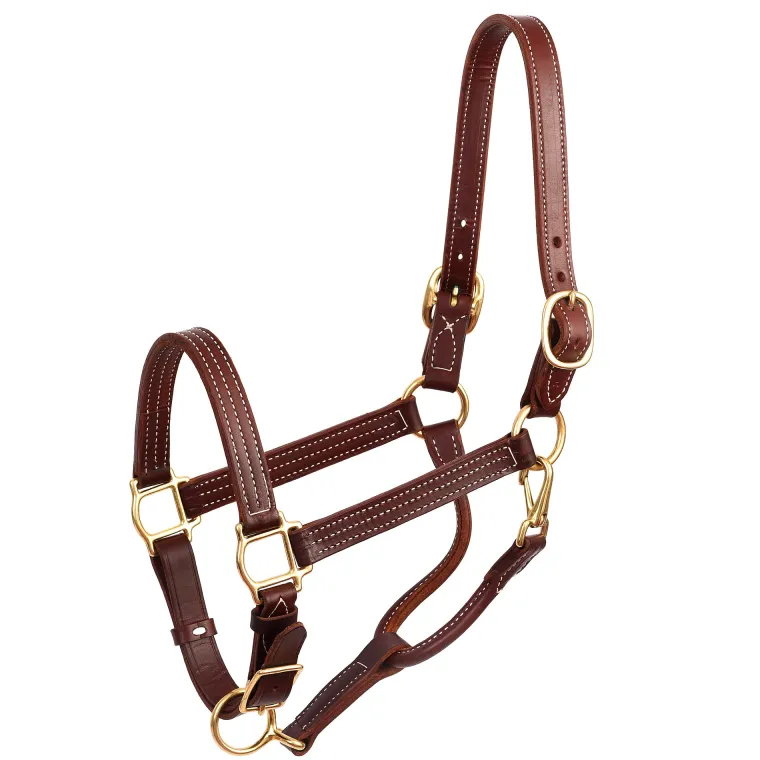 perrispremium-leather-show-hal-ufLBsIwo-1.webp Hot PERRIS LEATHER Perri’s® Premium Leather Show Halter