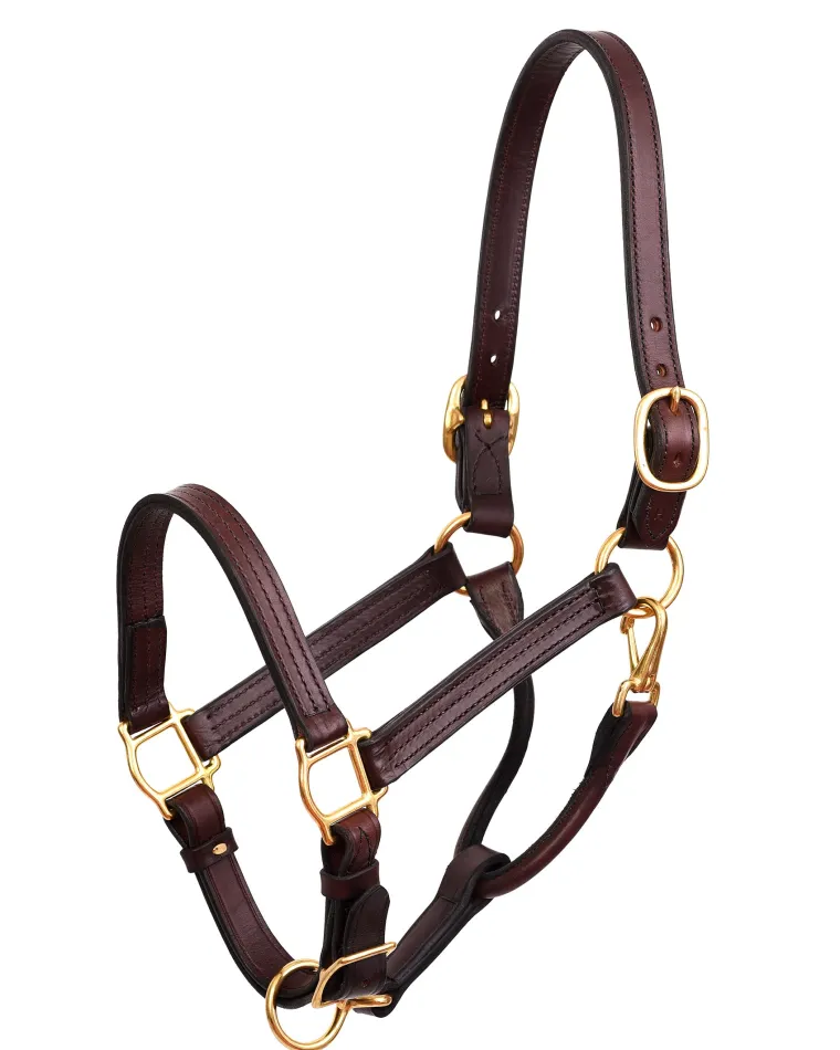 perrispremium-leather-show-hal-ufLBsIwo-3.webp Hot PERRIS LEATHER Perri’s® Premium Leather Show Halter