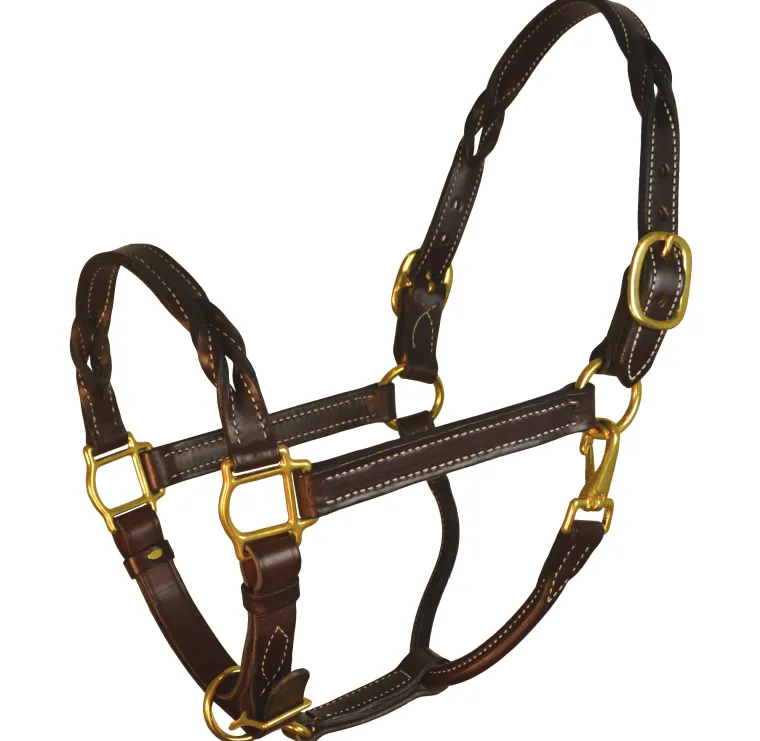 perristwisted-leather-halter-afmXhdNr-0.webp Hot PERRIS LEATHER Perri’s® Twisted Leather Halter Havana