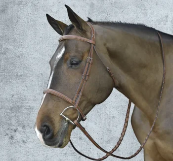 Online ERS Pessoa® Pro Fancy-Stitched Raised Bridle
