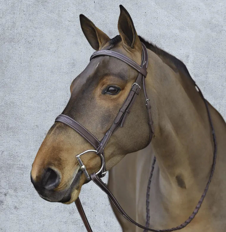pessoa-pro-fancy-stitched-wide-eDBflhlo-1.webp Online ERS Pessoa® Pro Fancy-Stitched Wide Nose Bridle