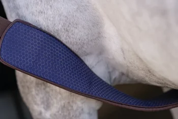 Discount PROFESSIONALS CHOICE Professional’s Choice® 2XCool English Girth