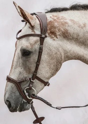 Fashion PS OF SWEDEN Nirak™ Bridle