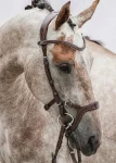 ps-of-sweden-nirak-bridle-QtaxYnDM-0.webp