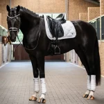 ps-of-sweden-ruffle-dressage-s-fPBNdXTE-0.webp