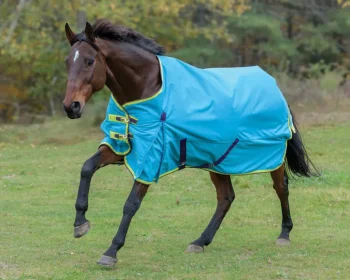 Fashion SHIRES EQUESTRIAN Shires Highlander 100G Blanket