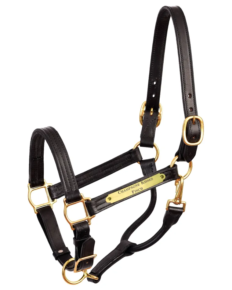 qlzRFmwY_0.webp Clearance PERRIS LEATHER Perri’s® 1" XL Stallion Premium Leather Show Halter with Nameplate