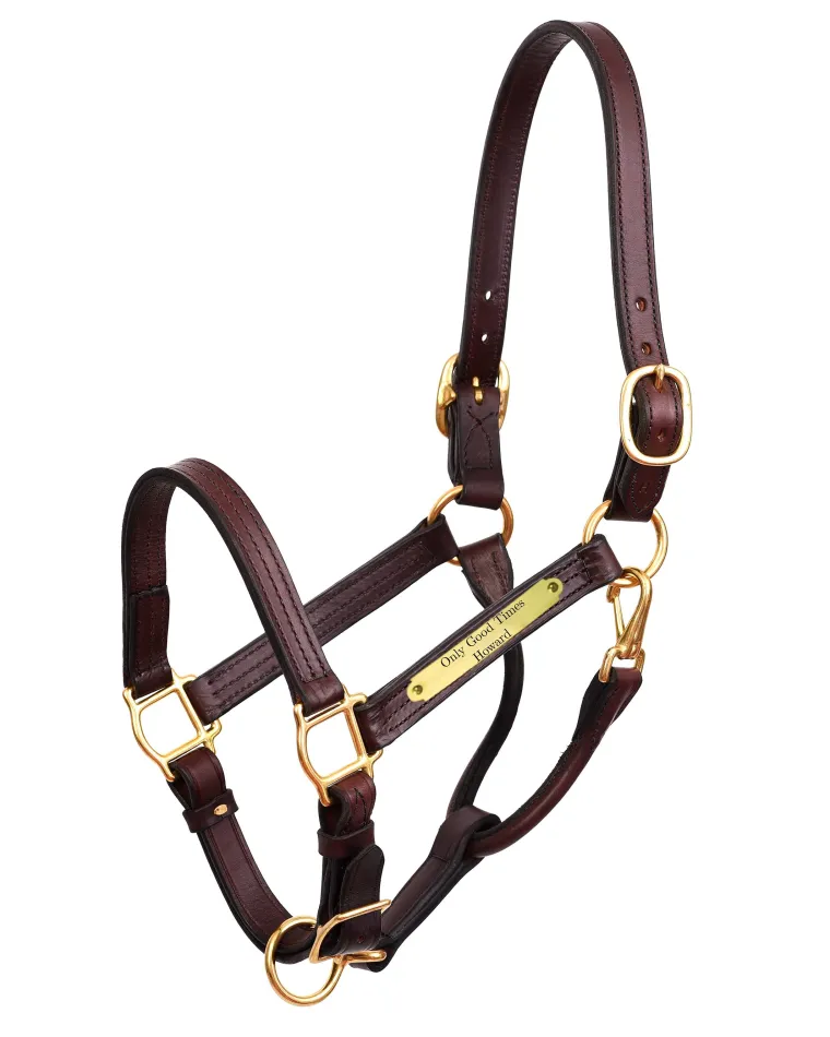 qlzRFmwY_1.webp Clearance PERRIS LEATHER Perri’s® 1" XL Stallion Premium Leather Show Halter with Nameplate