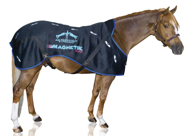 rFqeYpYY_0.webp Outlet ERS Veredus® Magnetik Stable Sheet Black