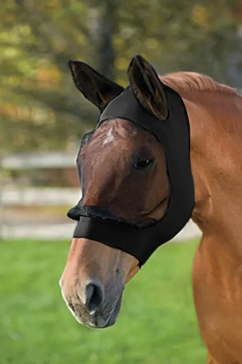 Best WEATHERBEETA ® Stretch Eye Saver with Ears