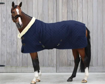 Clearance KENTUCKY HORSEWEAR Show Rug Navy