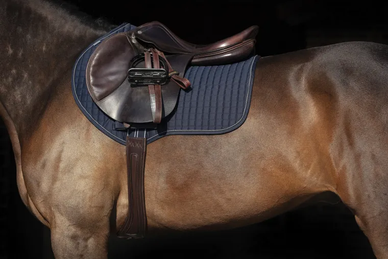 rambo-micklem-long-comfort-gir-OZtVlrBR-5.webp Sale HORSEWARE Rambo® Micklem® Long Comfort Girth