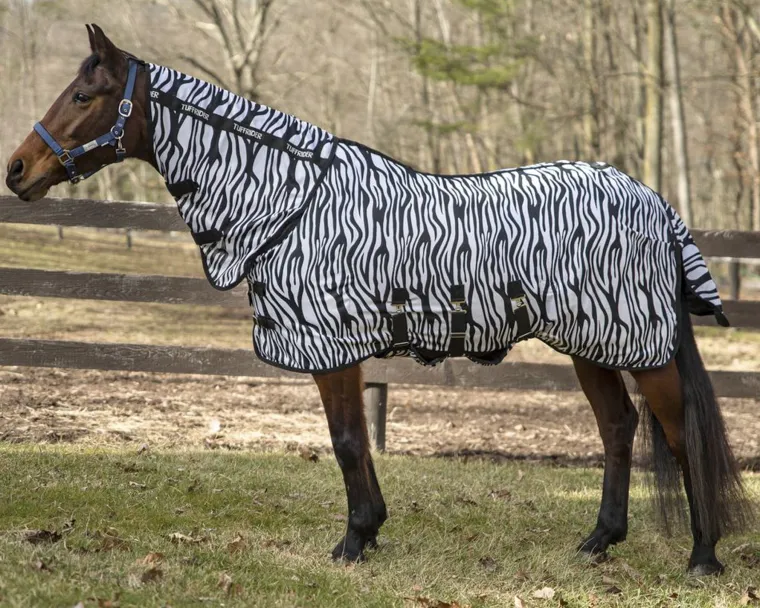 rbYllRyB_0.webp Clearance JPC EQUESTRIAN TuffRider® Comfy Plus Combo Neck Fly Sheet Zebra