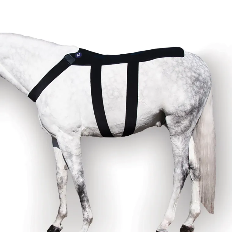 rdcyjcAv_1.webp Outlet MACKINNON Ice Horse® Back Blanket