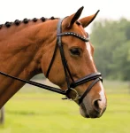 Sale KL SELECT Red Barn Stride Dressage Bridle Black