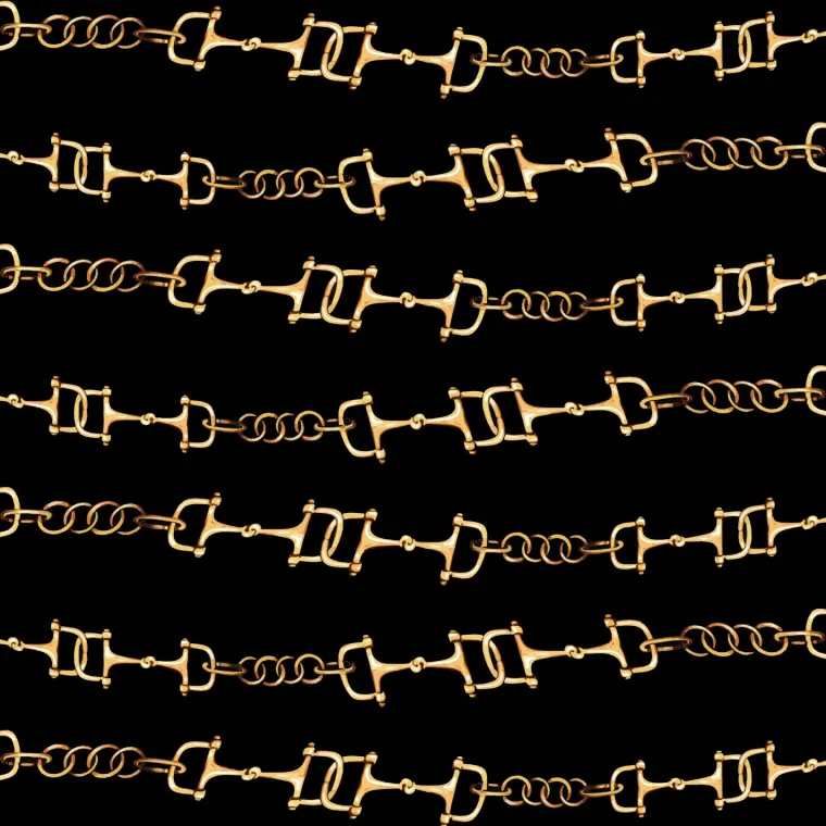 rj-classics-ladies-tori-long-s-lIKMZGUg-4.webp New RJ CLASSICS R.J. Classics Ladies’ Tori Long-Sleeve Show Shirt