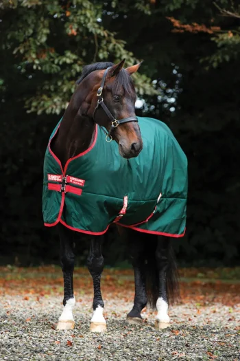 Discount HORSEWARE ® Ireland Rambo® Original 1000D Heavyweight Turnout–400G Green/Red