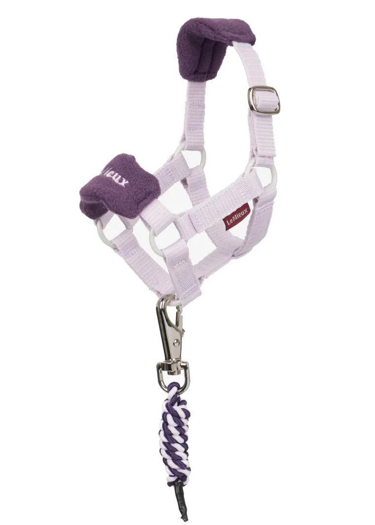 rtksXEMR_1.webp Discount HORSE HEALTH TRADE LeMieux® Toy Pony Halter