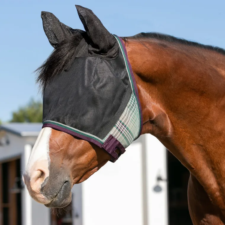 sONGEPtf_0.webp Online KENSINGTON ™ UViator CatchMask Protective Mask with Ears & Forelock Opening