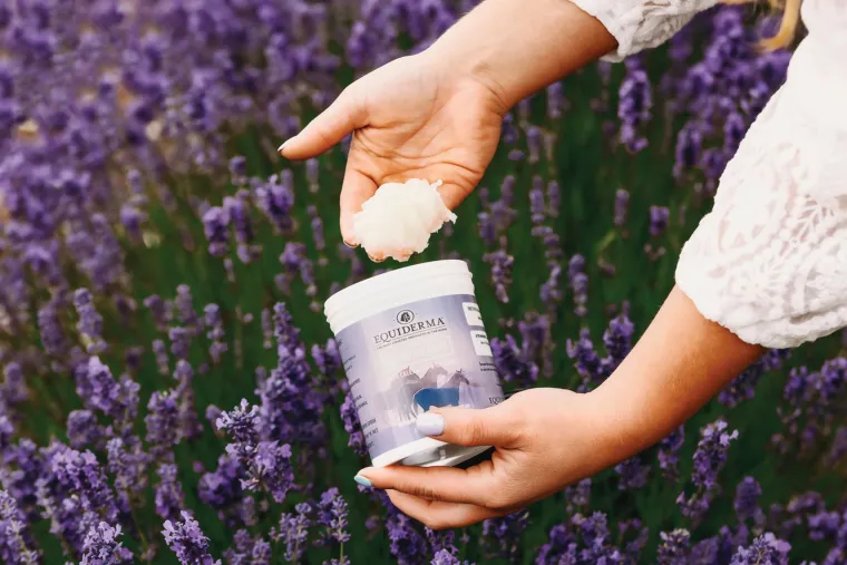 sPoRyFsZ_1.webp Sale ANIMAL HEALTH INT Equiderma® Wound Ointment