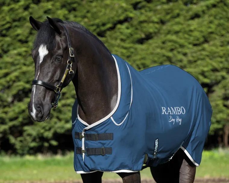 sVywBdyT_0.webp Fashion HORSEWARE ® Ireland Rambo® Dry Rug Supreme Navy/Silver