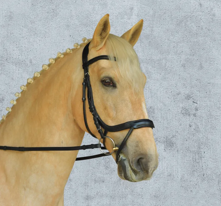 schockemhle-equitus-alpha-brid-UVZAUYeM-3.webp New SCHOCKEMOEHLE N.A. Schockemöhle Equitus Alpha Bridle