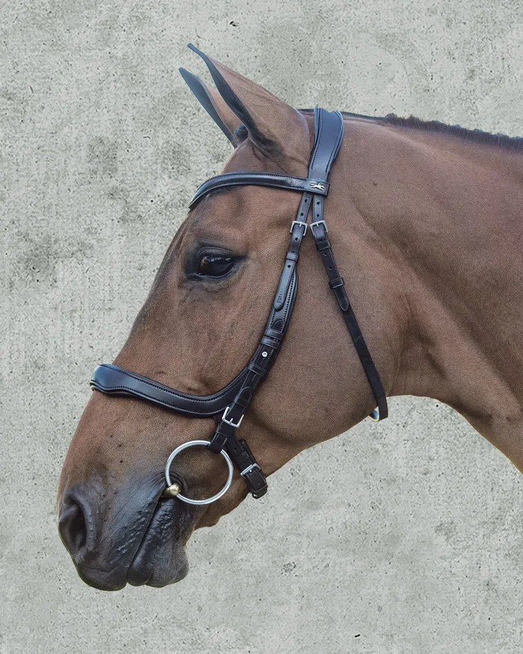 schockemhle-equitus-delta-brid-PwZEhgbO-1.webp Sale SCHOCKEMOEHLE N.A. Schockemöhle Equitus Delta Bridle