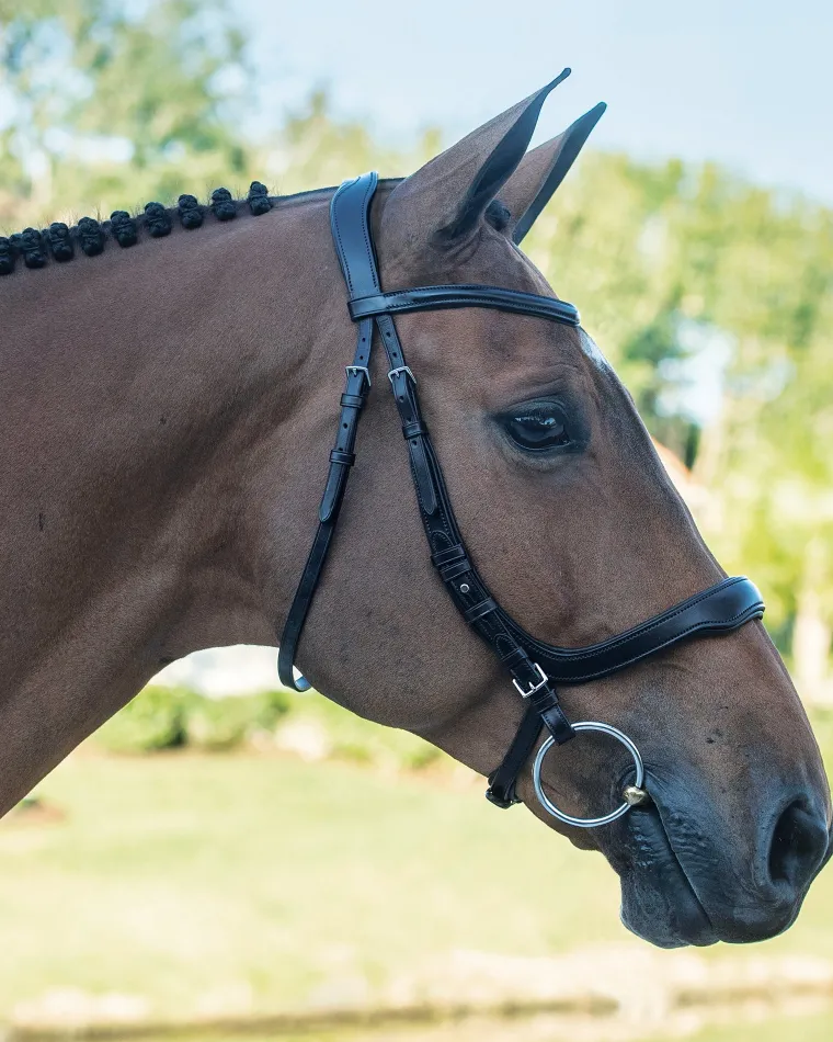 schockemhle-equitus-delta-brid-PwZEhgbO-3.webp Sale SCHOCKEMOEHLE N.A. Schockemöhle Equitus Delta Bridle