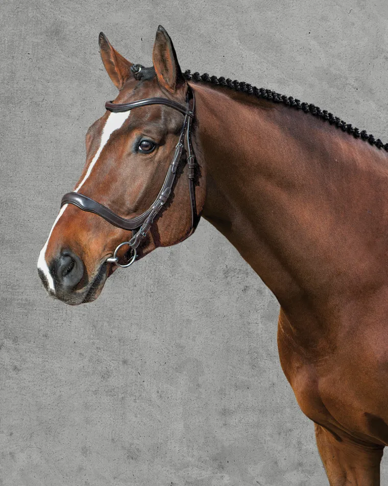 schockemhle-equitus-delta-brid-PwZEhgbO-6.webp Sale SCHOCKEMOEHLE N.A. Schockemöhle Equitus Delta Bridle