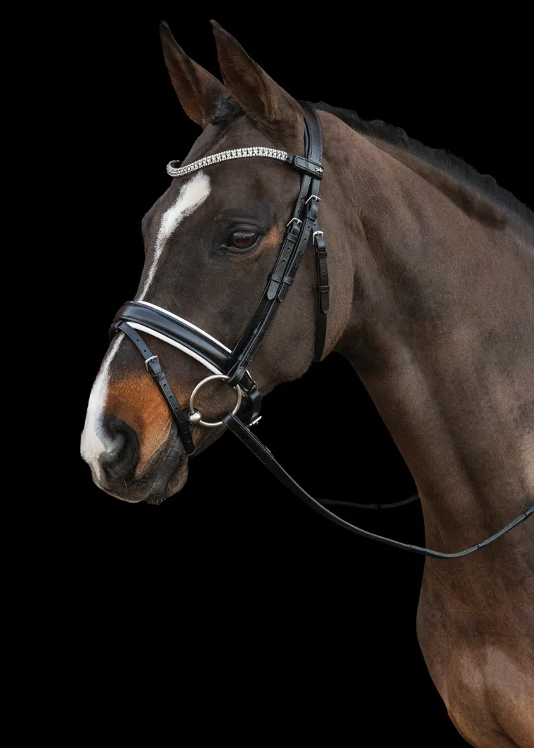 schockemhle-malaga-bridle-TuYdNlVB-2.webp Hot SCHOCKEMOEHLE N.A. Schockemöhle Malaga Bridle